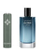 Davidoff Cool Water Parfum for Men