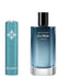 Davidoff Cool Water Parfum for Men