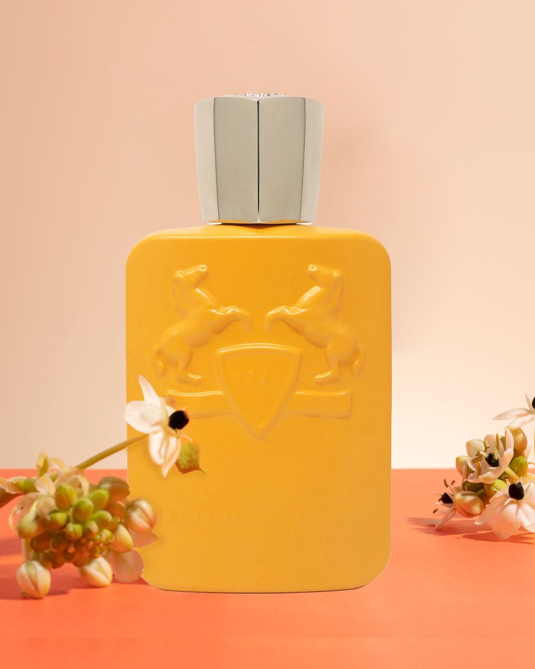 DecantX Perfume and Cologne Decant Fragrance Samples for Men And Women ...