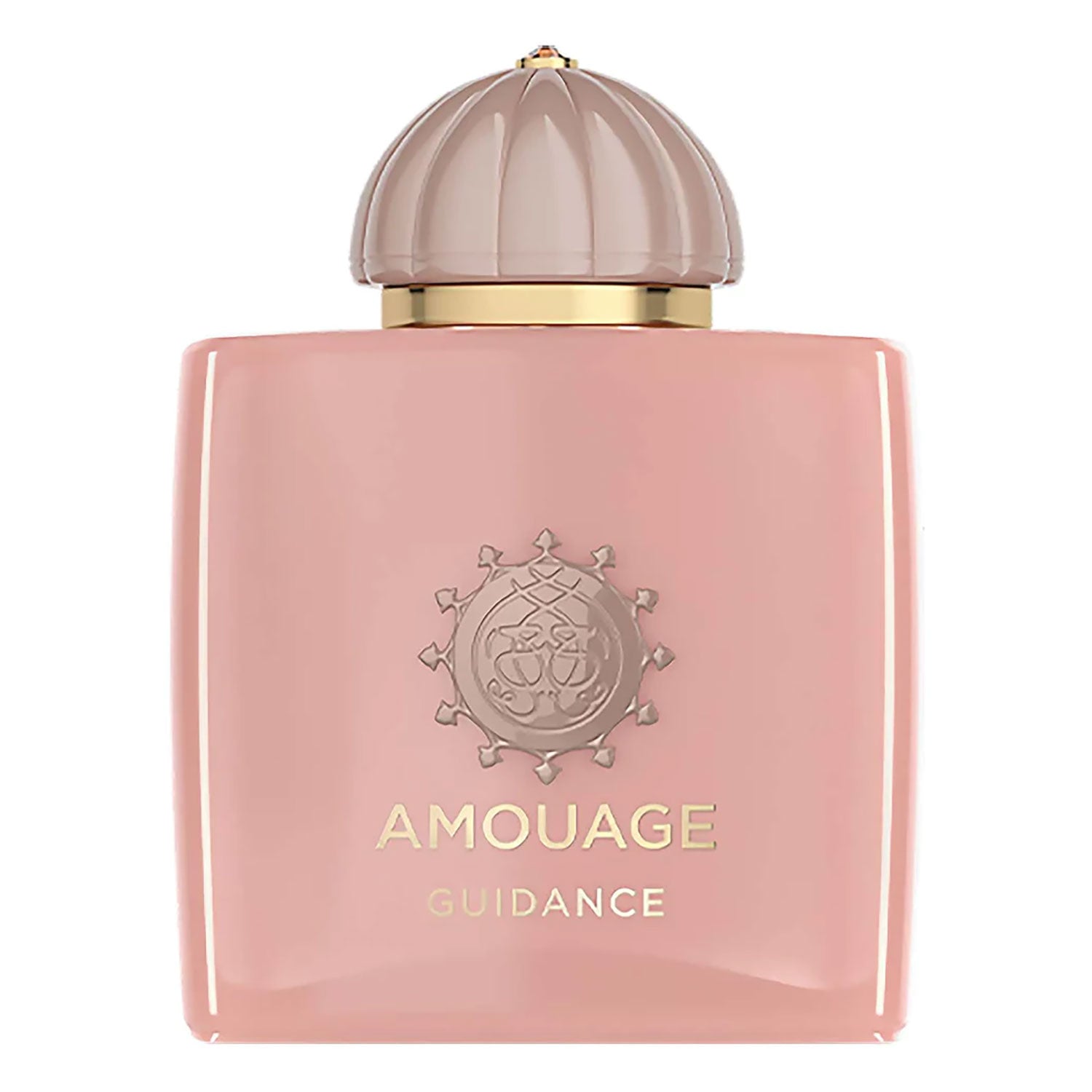 AMOUAGE GUIDANCE 香水 100ml Guidance by AMOUAGE Fragrance Samples | DecantX | Eau de Parfum